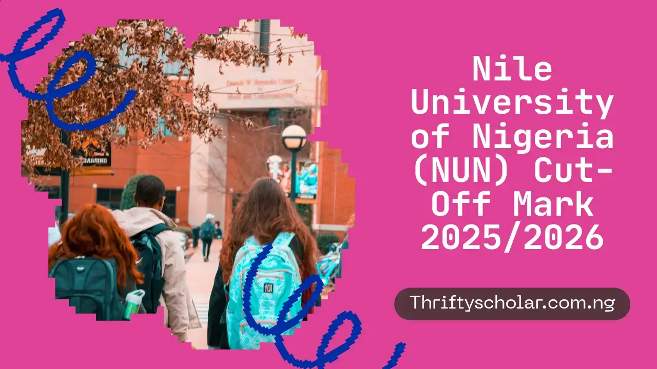 Nile visual data 2